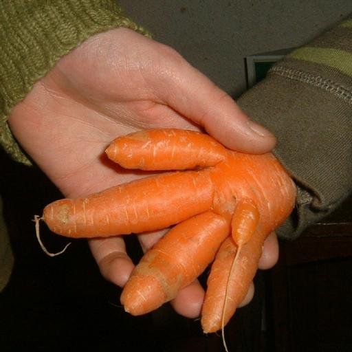 I'm into veg gardening too, not just cycling politics.  Carrot and car rot shall be my epitaph!