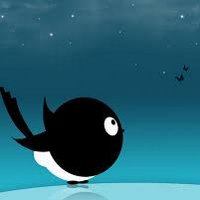 satwat (@satwat24) 's Twitter Profile