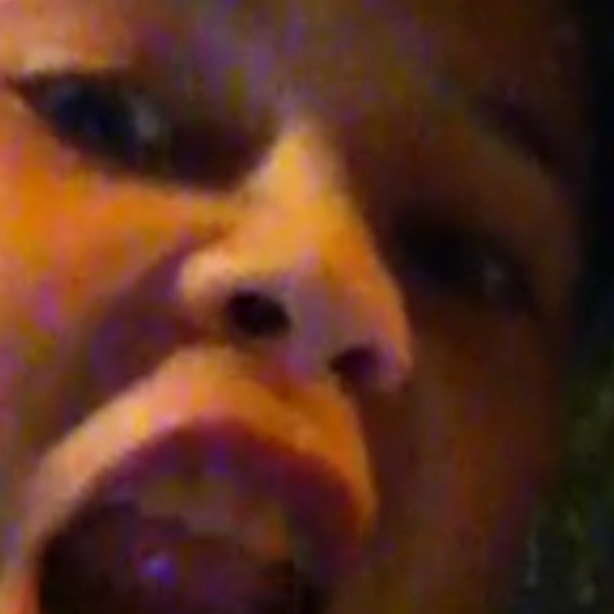 AbstractNovax's profile picture. 