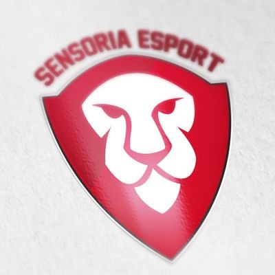 #Manager SensoriA #SensoriA Esports #Decerto