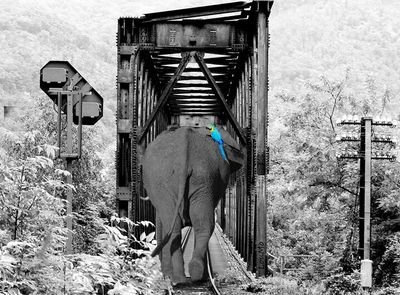 loumo_co_uk's profile picture. 