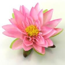 sunnyangel7's profile picture. 