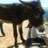 Pili_GR's profile image