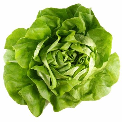 If lettuce what you need to know just read its tweet