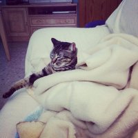 Mamen Sola (@mamensola1) 's Twitter Profile