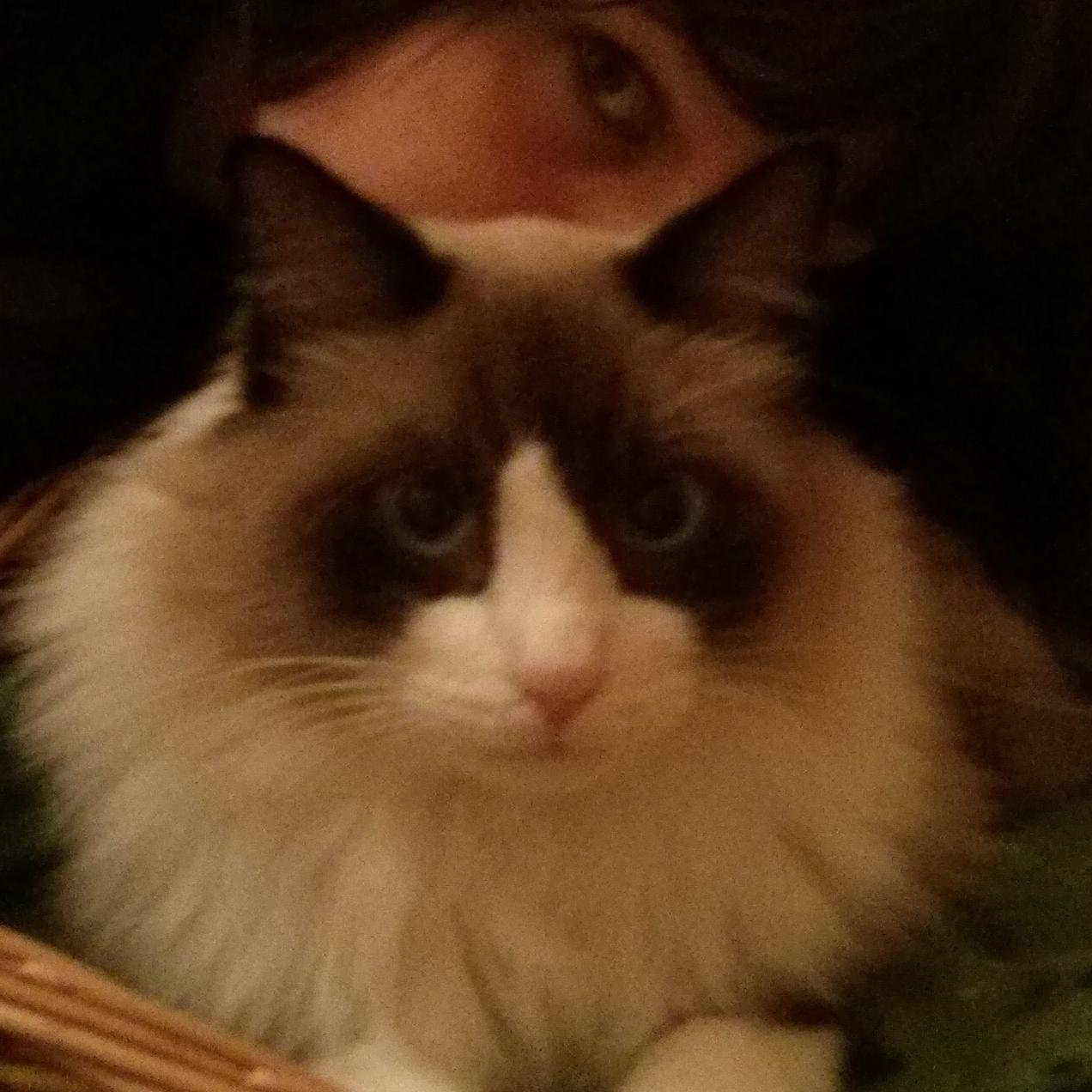 tskyoko's profile picture. Veterinària