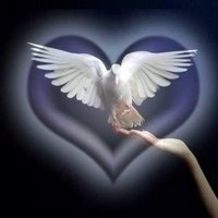 JESUCRISTO_ES_DIOS (@abbapadre3) 's Twitter Profile