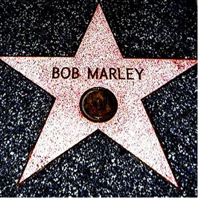 Richard Marley Bee - Singer / Musician / Model (Bob Marley's nephew) born 12/26/1989 * Marley Rich® / Marley Bee® / Marley Bees® * Juilliard / Harvard Medical *