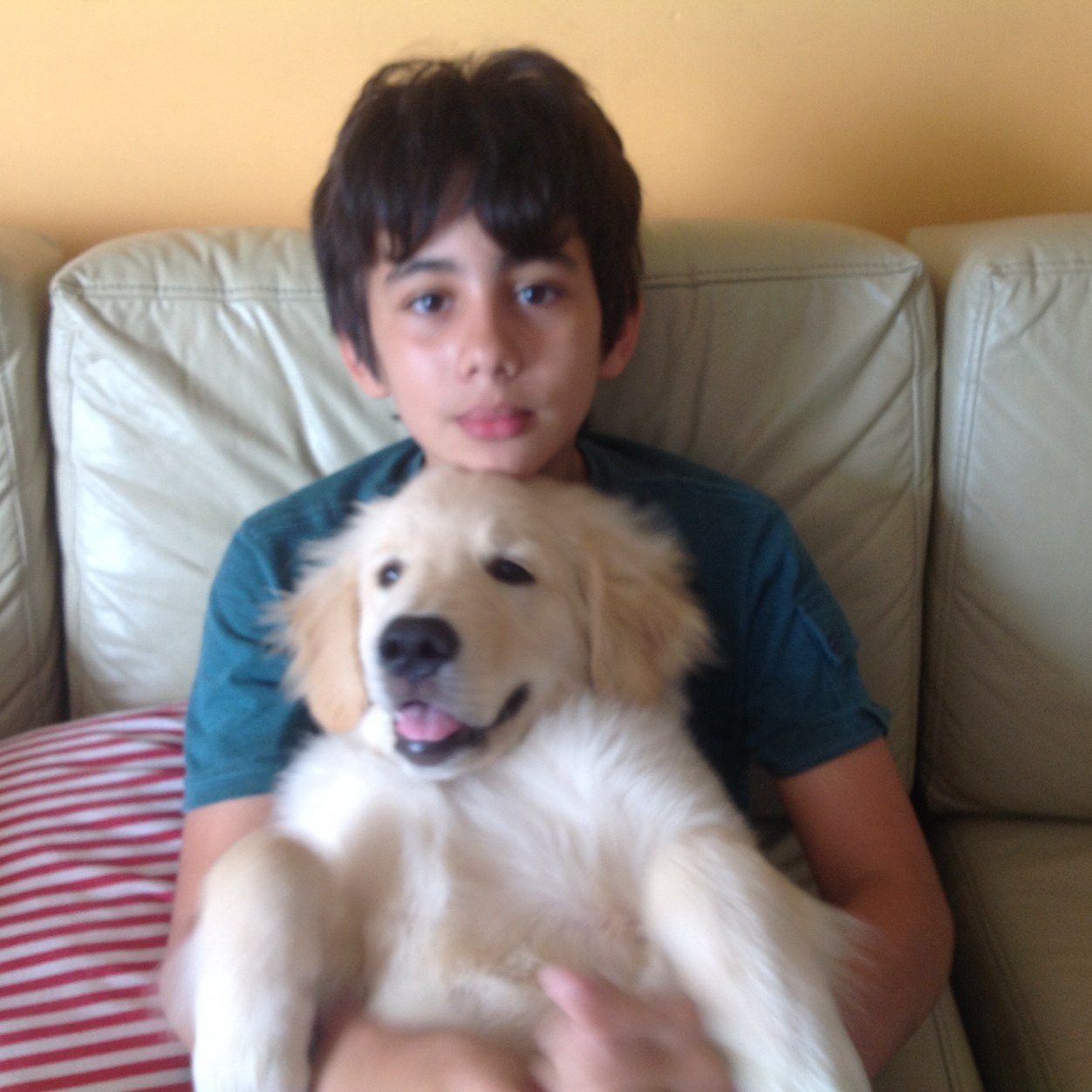 Oi eu sou pedro e gosto muito de ver videos no youtube
