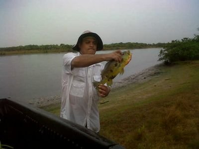 jesuspintoz29's profile picture. 