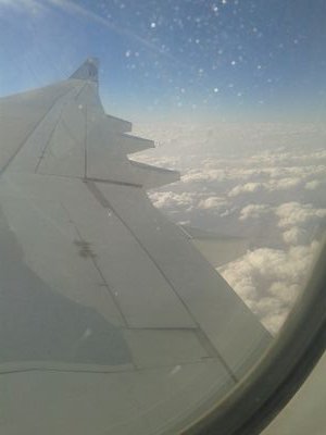 ahmedezatibrahi's profile picture. 