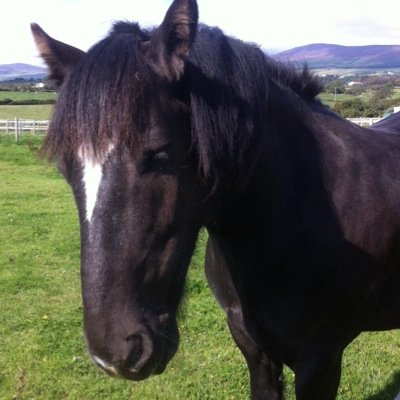 isangaraja1's profile picture. u r the best