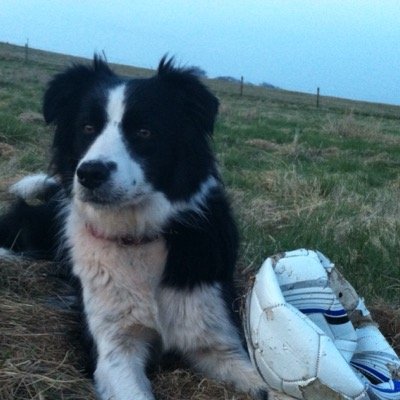 Born and raised in Lanarkshire with Irish roots. loving life in the Scottish Borders.