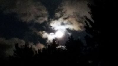 sunshineysamm's profile picture. Stay at home mom, Independent Scentsy Consultant, Knowledge Seeker (#TVD #GAC #Supernatural)