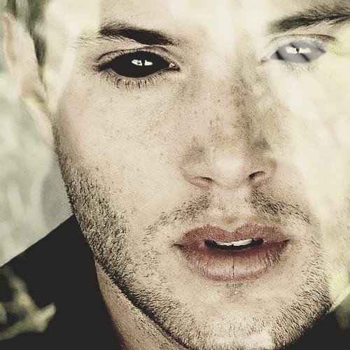 Name's Dean. Came back from hell a bit... different. Full bio http://t.co/nRxo51dpZi Roleplay+21 *TAKEN* #TeDDy *Inactive*