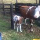 Raul Toro Nieto - @RaultoroRt - Twitter