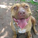 John Monteith - @JohnMonteith5 - Twitter