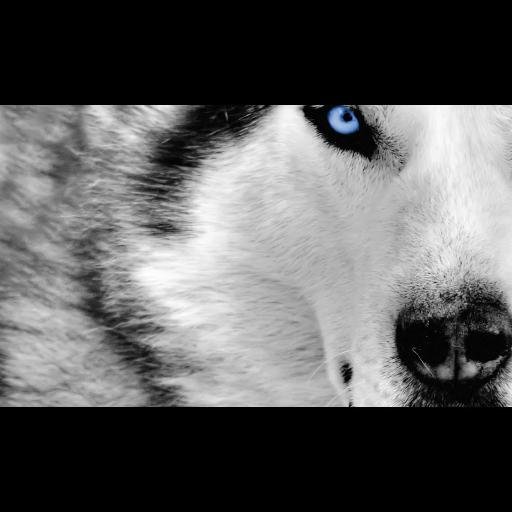 kimsam5550's profile picture. 