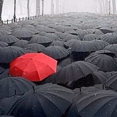 List13A's profile picture. A_list13@yahoo.com