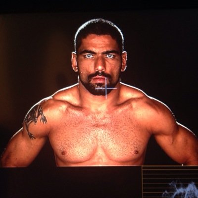 UFC Fighter