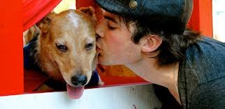 .Delena shipper