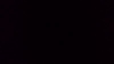 _SShakti's profile picture. 