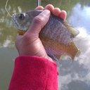 Malcolm Rencher - @MalcolmRencher - Twitter