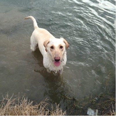 Seal1Daniel's profile picture. 