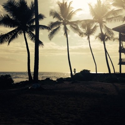 MaryRnallen61's profile picture. 