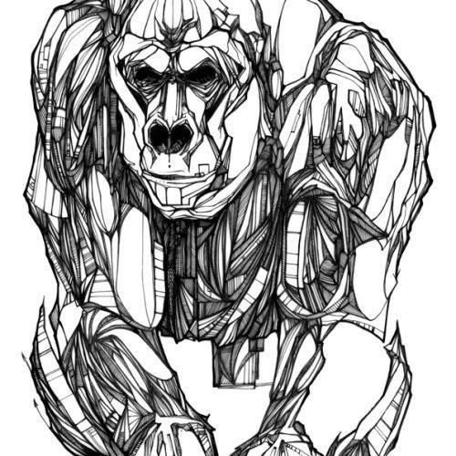 he/him. plays with rope.