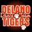 DelanoDanceTeam's profile image