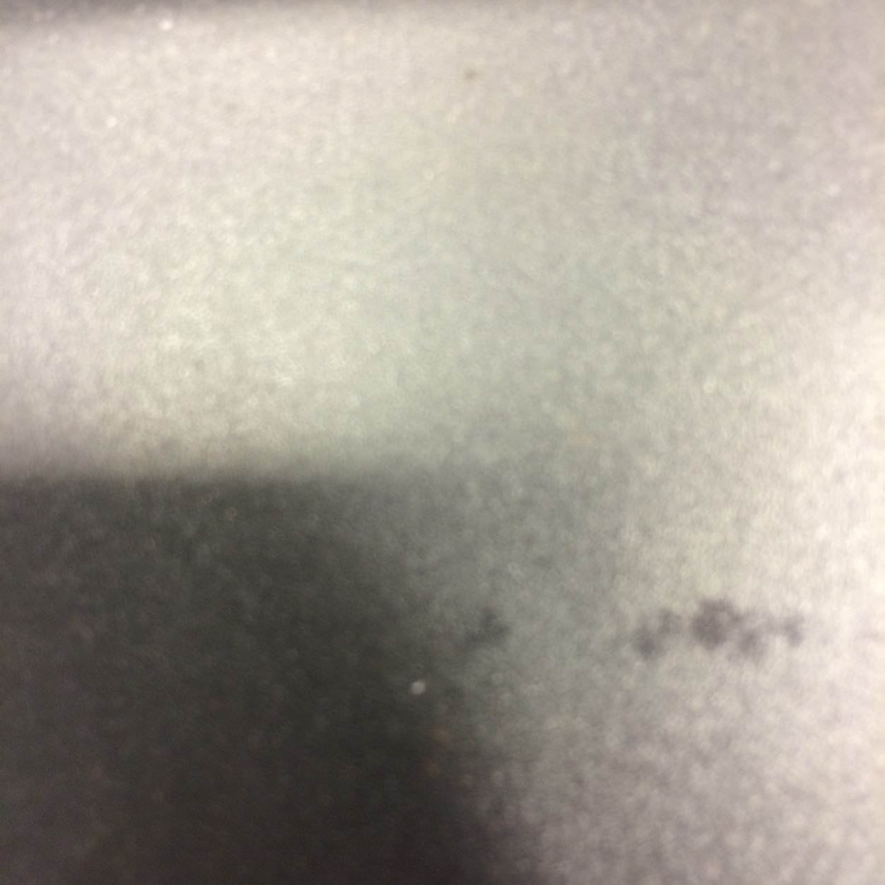 bull0590's profile picture. 