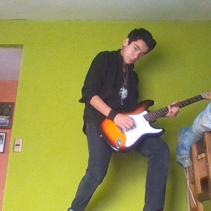 soy guitarrista bueno me gustaria ser algen ke  toke en show asi famoso, tengo polola, no soy shoro ni flaite soy comun y corriente tambien soy un poeta y eso
