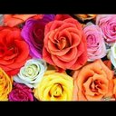 ♡قدوتي رسول الله♡ (@055Mar) Twitter