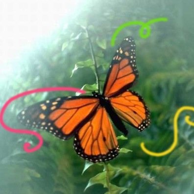 JRootsDaughter's profile picture. Lifelong learner who enjoys creating, discovering & sharing to help make the world a better place for everyone (And the more aware I become, the angrier I get)