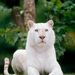 DeckaStarWeaver's profile picture. 