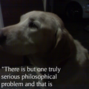 Chip Hamilton - @imunnadiesoon - Twitter