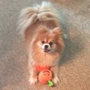 Kimberly Keesee - @kkeesee72 - Twitter