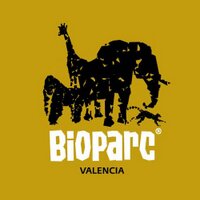 BIOPARC Valencia(@Bioparc) 's Twitter Profile Photo