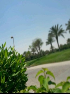 اللهم اغف لآموات الملمين ورحمه .