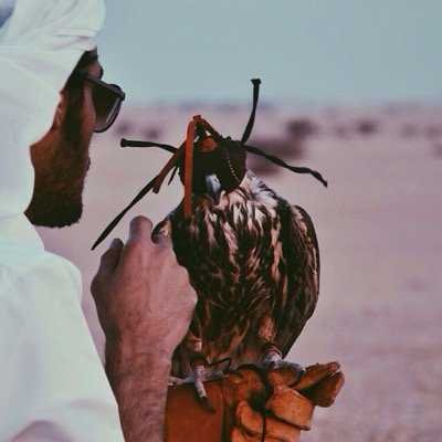 1_liwa's profile picture. 