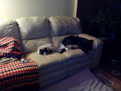 i am a farm wife with 3 grown boys and now have 5 furbabies  i love all crafts and my hubby is a welder