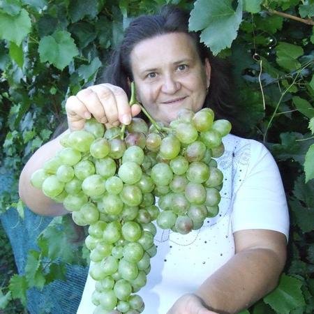 puzenkon's profile picture. 