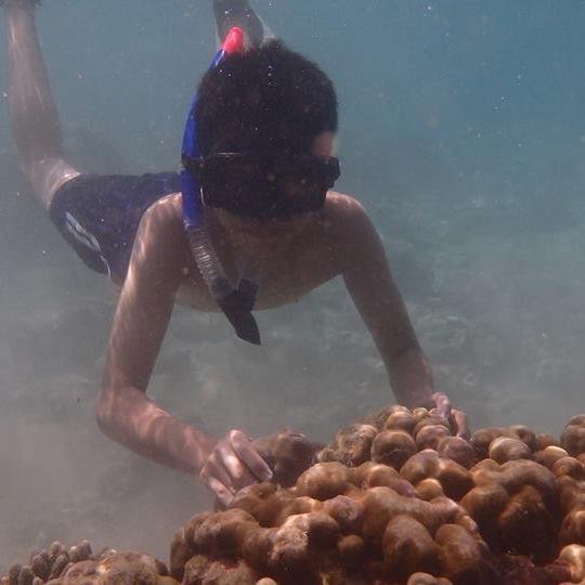 suwe_heri's profile picture. saya pelajar