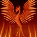 Oliver Henry Potts - @OliP123 - Twitter