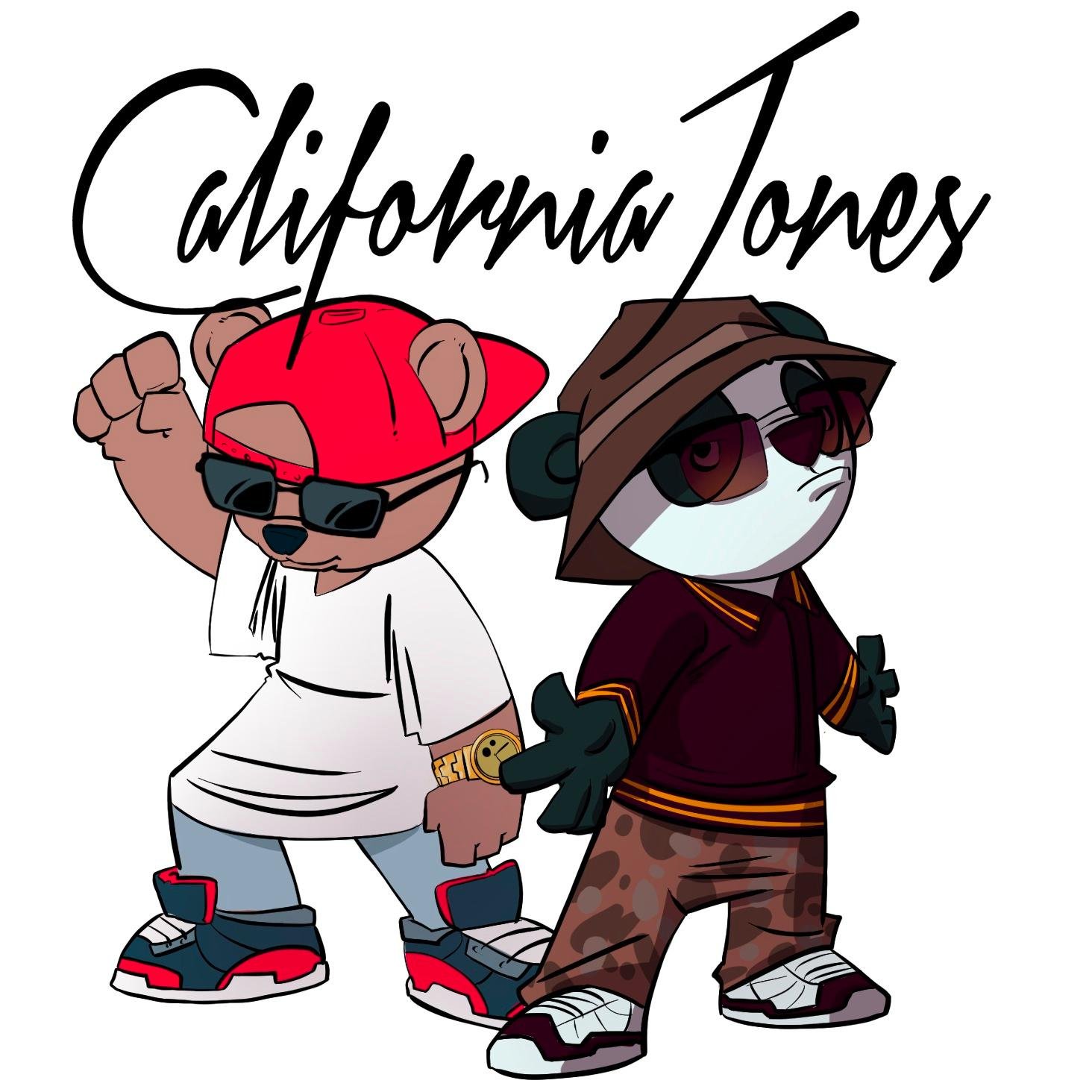 With 2 friends, a guitar, a bonfire and a beach-- California Jones was born. Discover us before all of your friends do.