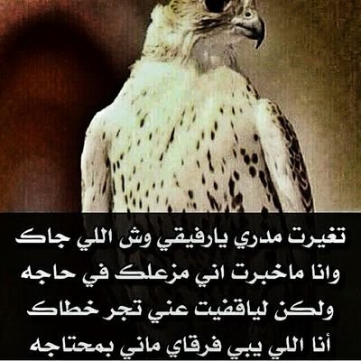 فهد العتيبي