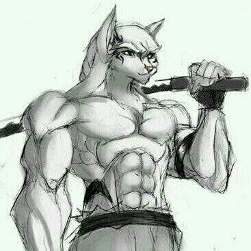 Lobo blanco de 17, me gusta dibujar, escribir y la musica y los video juegos. ||| hay cuenta USER