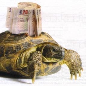 Tradingtortoise's profile picture. Trading the FTSE using traditional jobbing techniques https://t.co/Cq5s12cfzG
