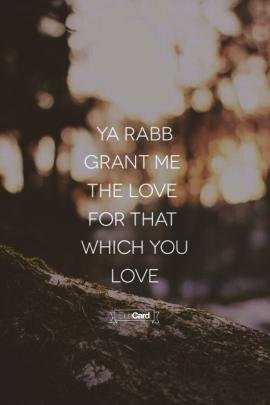 adamuaisha's profile picture. Proud Muslimah ♥